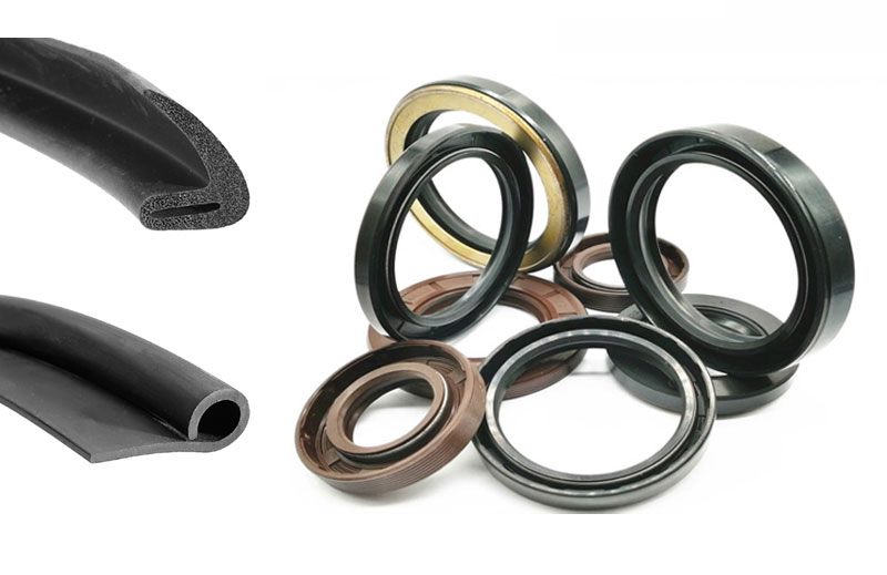 Door seals and oil seals